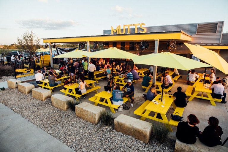 Mutts Canine Cantina is coming to Solms Landing